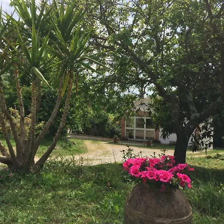 Holiday home Casa Di Campagna Graffignano